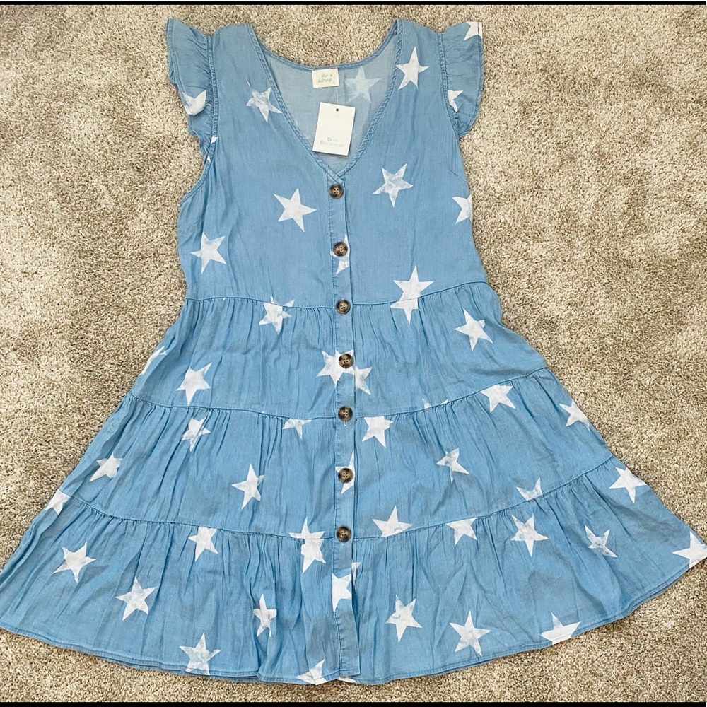 Blue Buttercup - Star blue and white dress